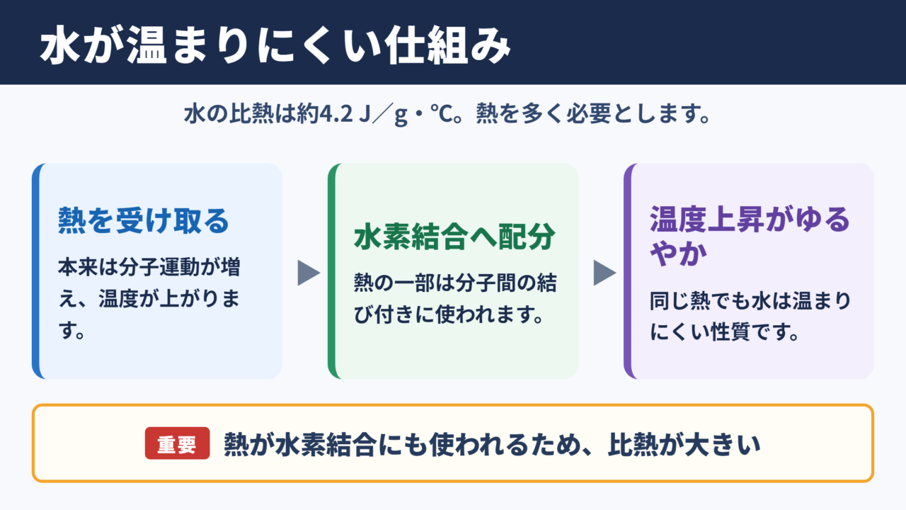 水の比熱が大きい理由